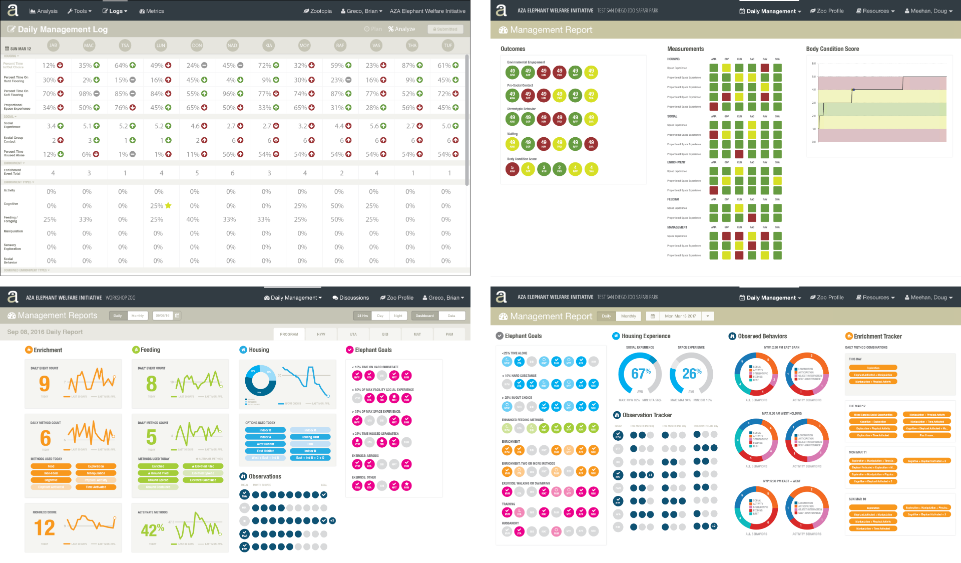 Daily Report Studies