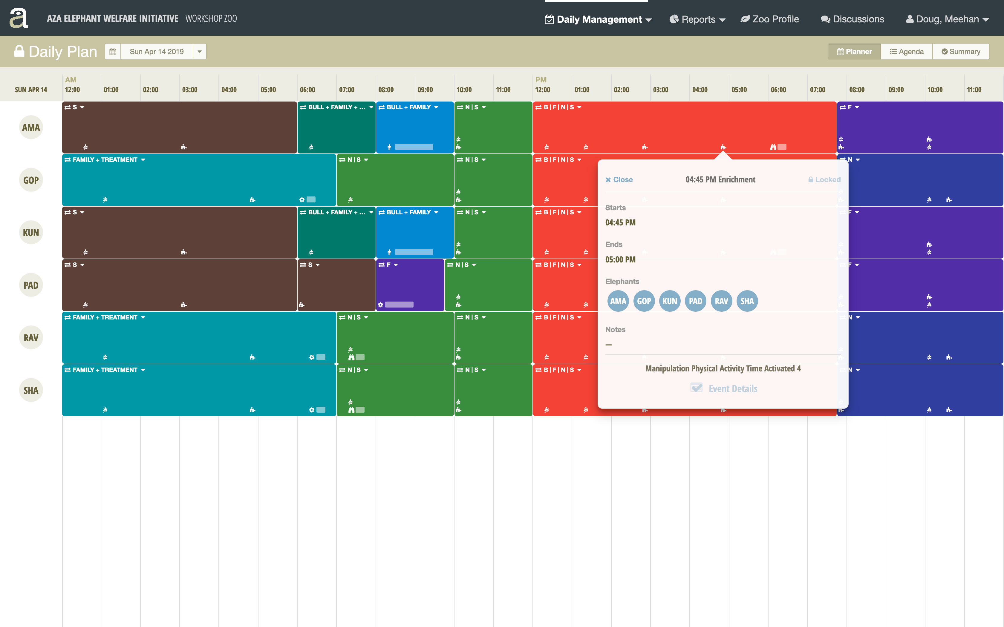 Daily Planning Interface