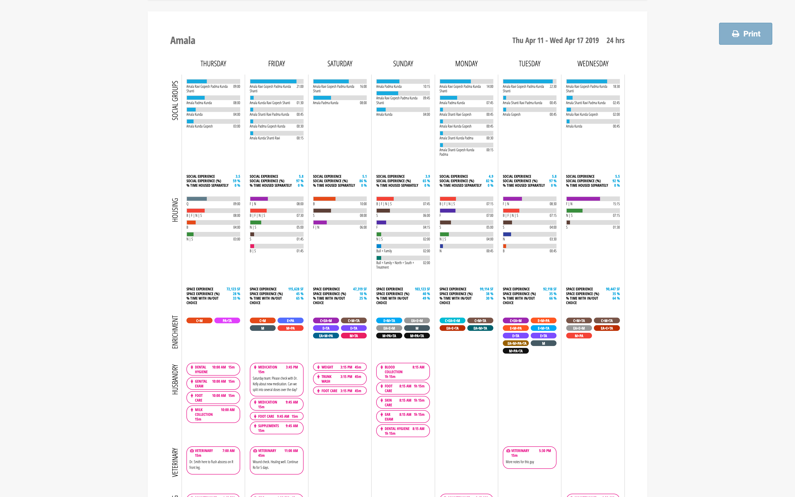 Weekly Report Printable