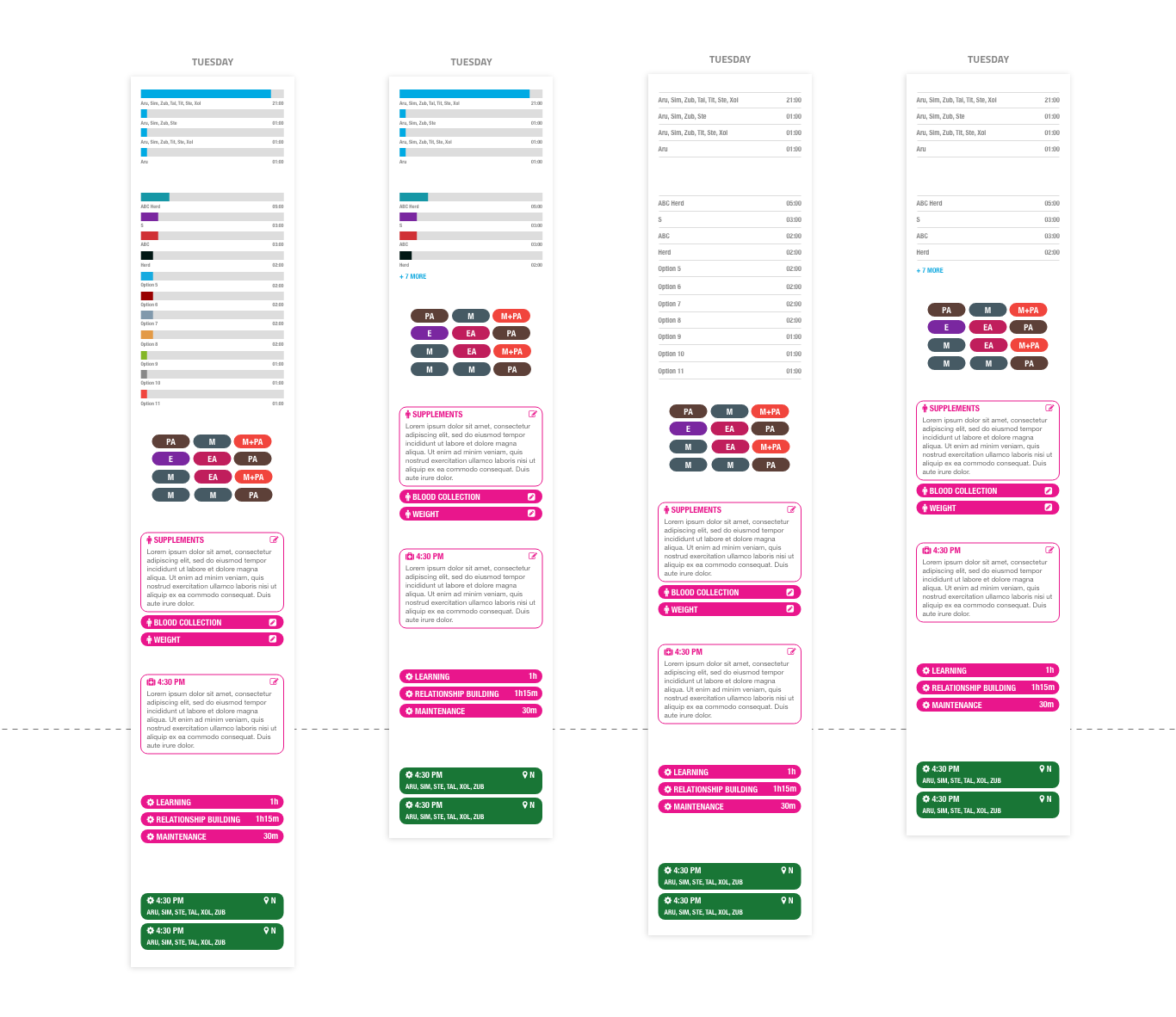 Weekly Report Testing Content Length