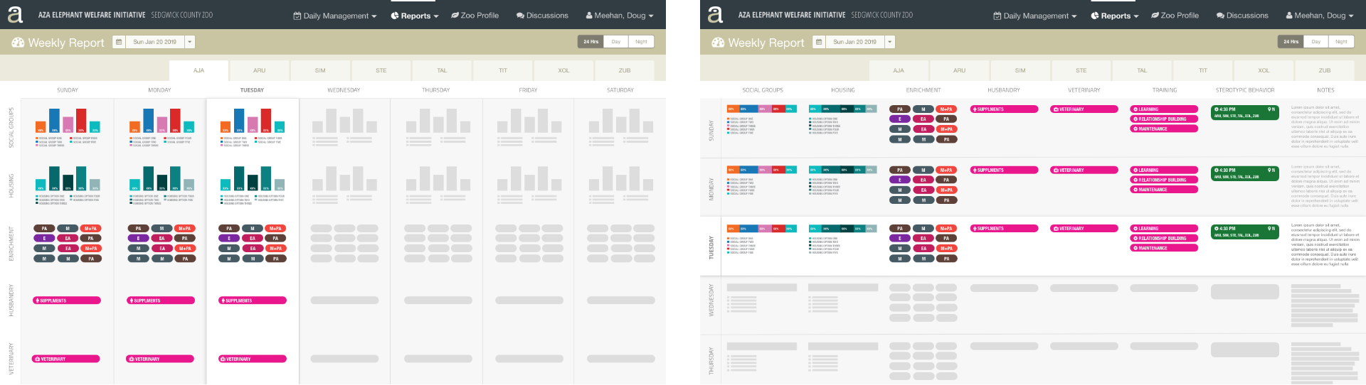 Weekly Report Studies